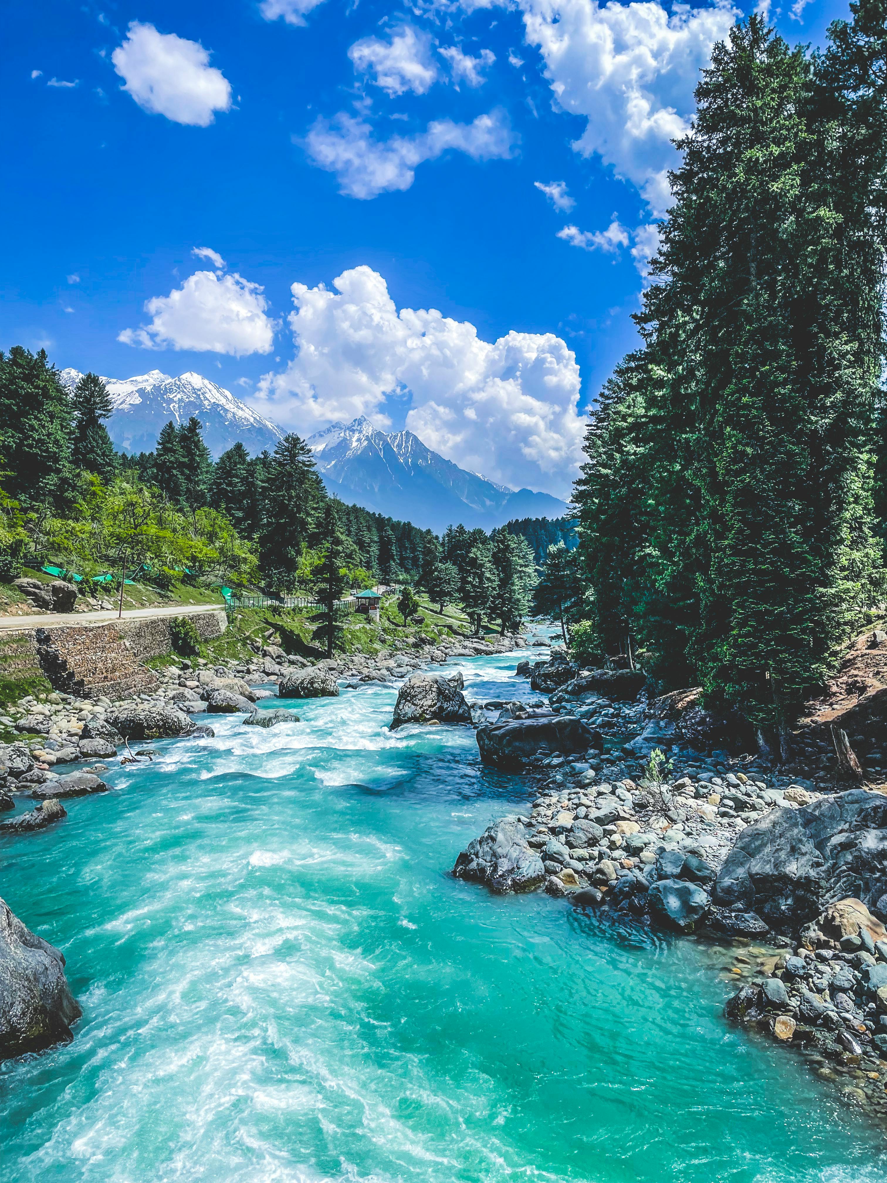 Green Trees Near Rocky River Pahalgam India